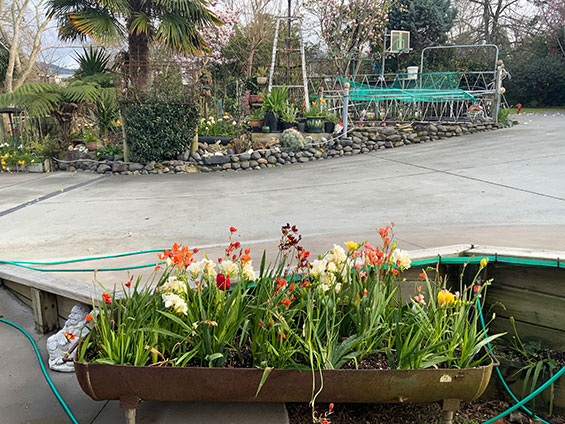 Deluxe Queen Studio garden