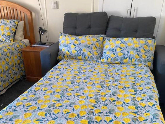 Pull-out Sofa